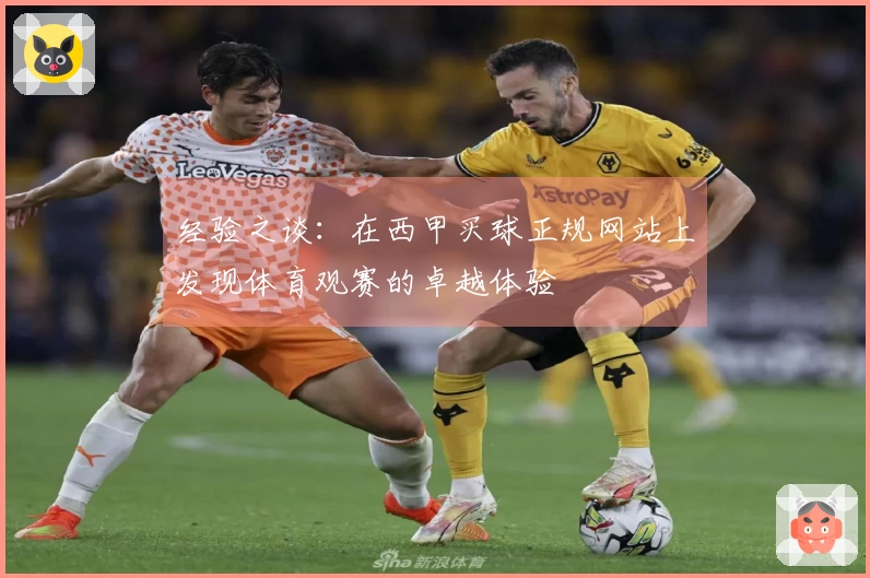 经验之谈：在西甲买球正规网站上发现体育观赛的卓越体验