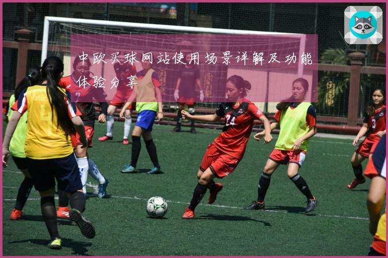 中欧买球网站使用场景详解及功能体验分享