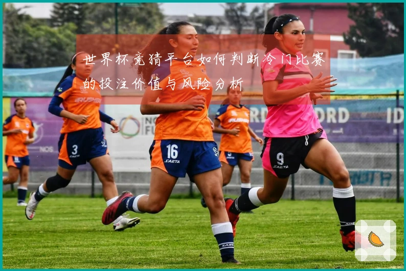 世界杯竞猜平台如何判断冷门比赛的投注价值与风险分析