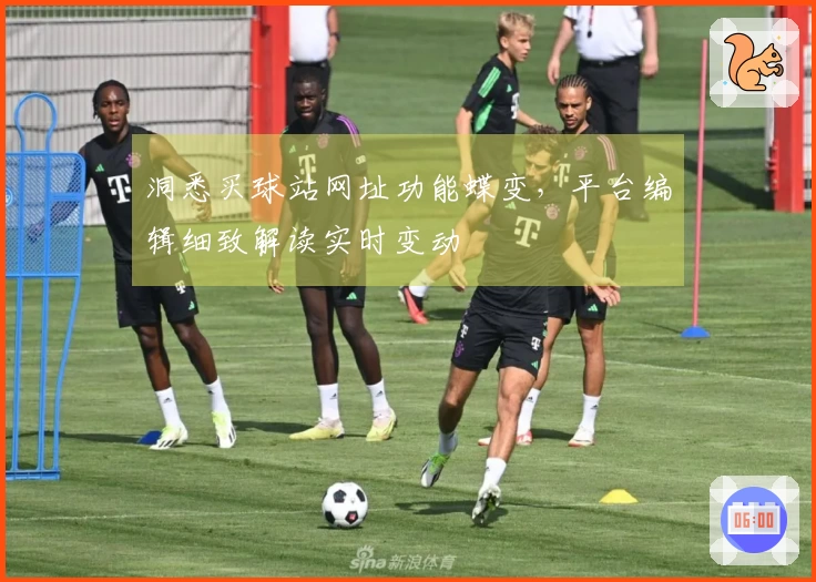 洞悉买球站网址功能蝶变，平台编辑细致解读实时变动