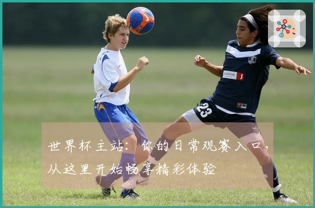世界杯主站：你的日常观赛入口，从这里开始畅享精彩体验