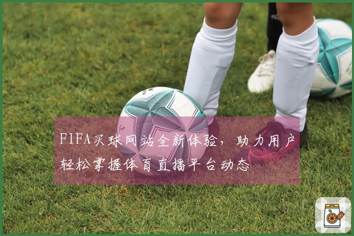 FIFA买球网站全新体验，助力用户轻松掌握体育直播平台动态