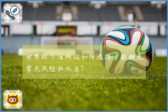世界杯下注网站如何选择才能避免常见风险和坑洼?