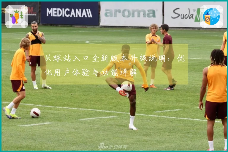 买球站入口全新版本升级说明，优化用户体验与功能详解