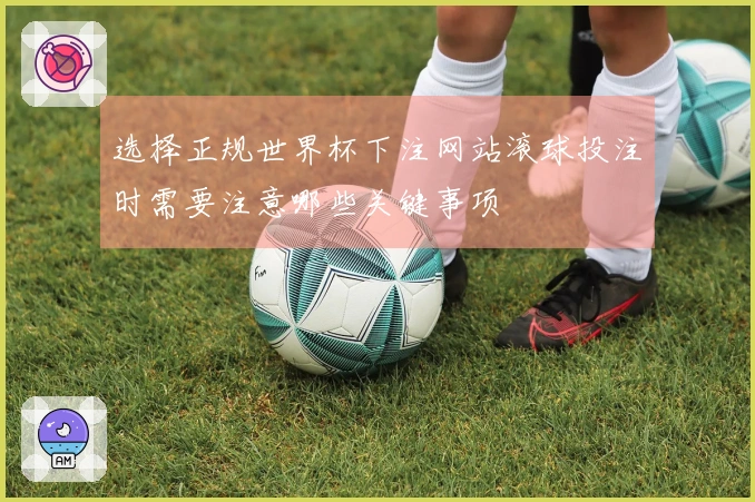选择正规世界杯下注网站滚球投注时需要注意哪些关键事项